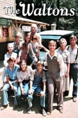 The Waltons poster