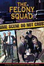 Felony Squad poster