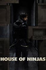 House of Ninjas poster