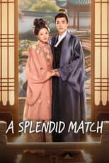 A Splendid Match poster