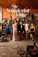 My Wonderful Life poster