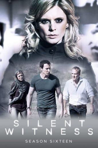 Silent Witness Season 16 poster