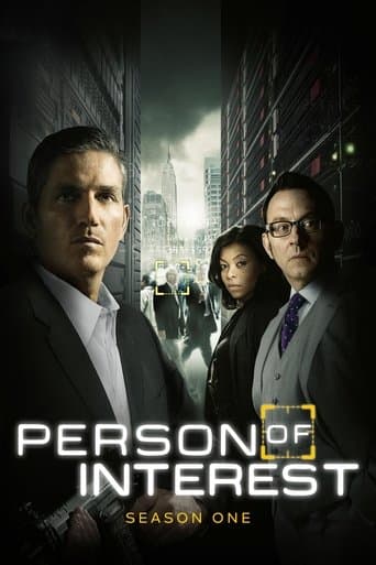 Person of Interest Season 1 poster