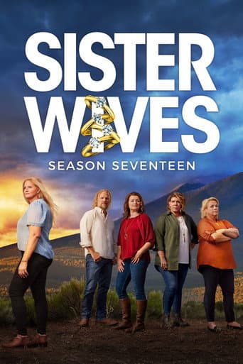 Sister Wives Season 14 poster