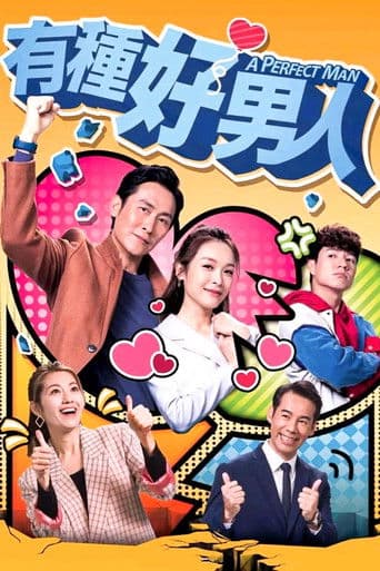 A Perfect Man poster