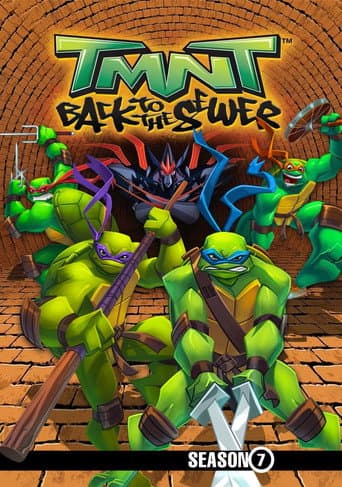 Teenage Mutant Ninja Turtles Season 7 poster
