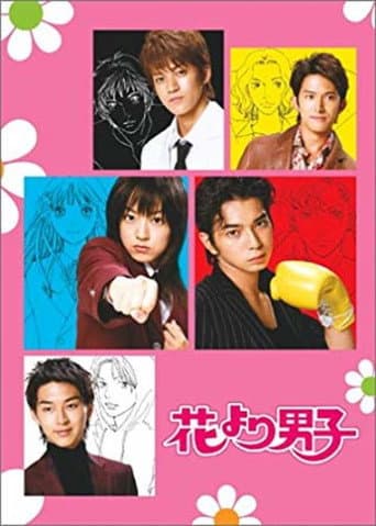 BOYS OVER FLOWERS Season 1 poster