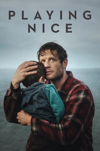 Playing Nice poster