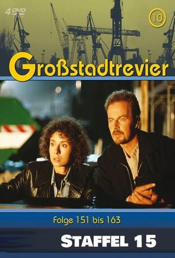 Großstadtrevier Season 15 poster