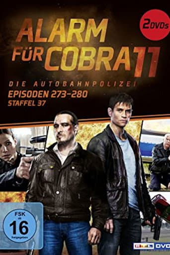 Alarm for Cobra 11: The Motorway Police Season 37 poster
