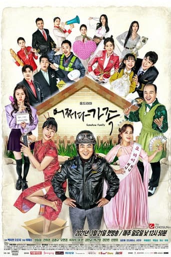 Somehow Family Season 1 poster