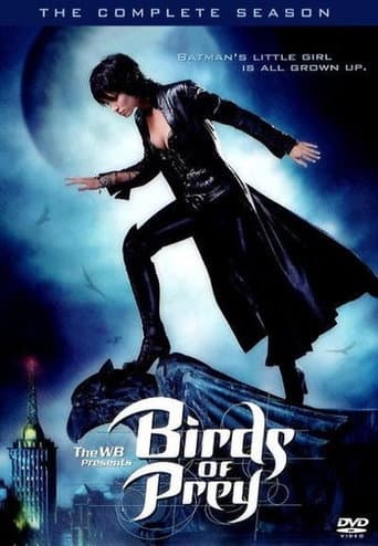 Birds of Prey Season 1 poster