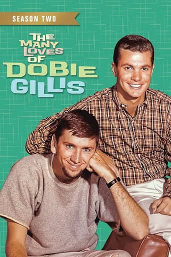 The Many Loves of Dobie Gillis Season 2 poster