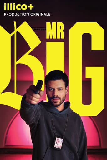 Mr Big Season 1 poster