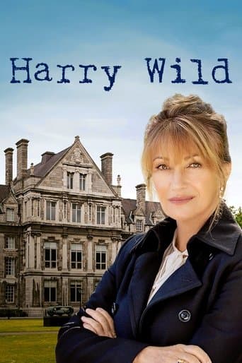 Harry Wild Season 1 poster