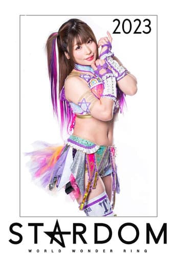 Stardom on Stardom World Season 13 poster