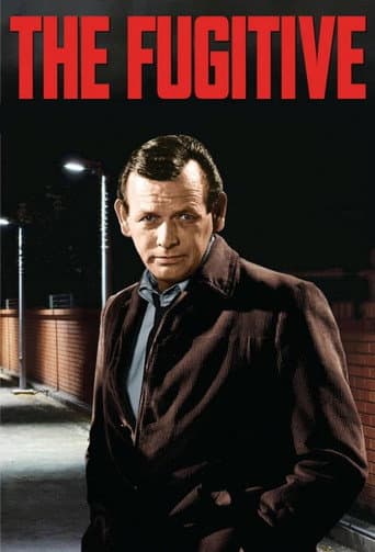 The Fugitive Season 4 poster