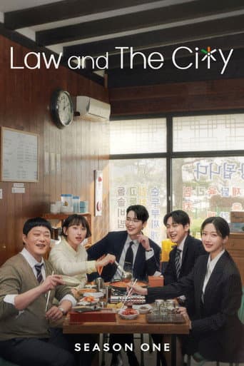 Law and the City Season 1 poster