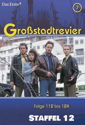 Großstadtrevier Season 12 poster