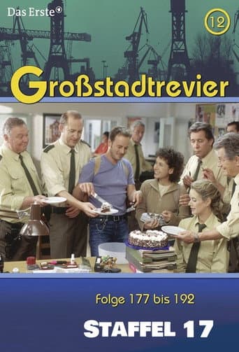 Großstadtrevier Season 17 poster