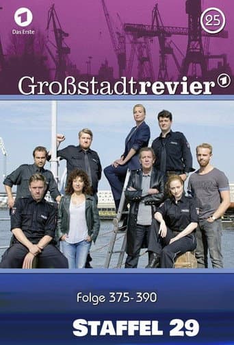 Großstadtrevier Season 29 poster