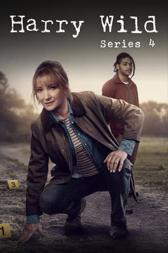 Harry Wild Season 4 poster