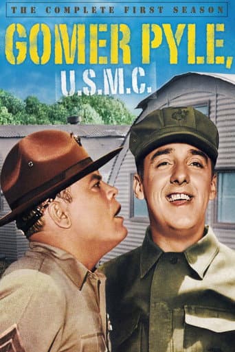 Gomer Pyle, U.S.M.C. Season 1 poster
