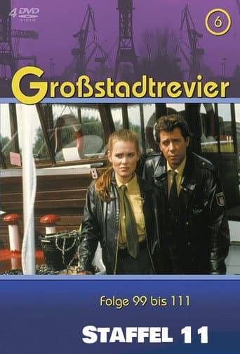 Großstadtrevier Season 11 poster
