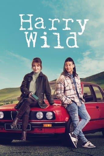Harry Wild Season 3 poster