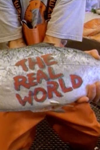 The Real World Season 7 poster