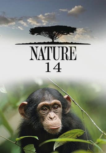 Nature Season 14 poster