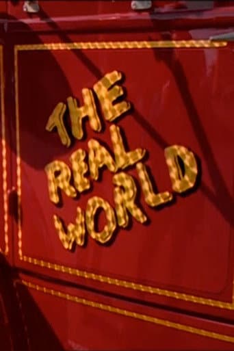 The Real World Season 6 poster