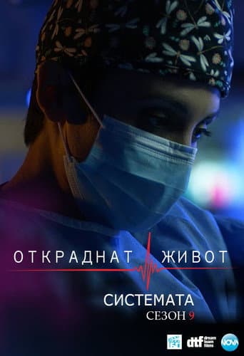 Stolen Life Season 9 poster