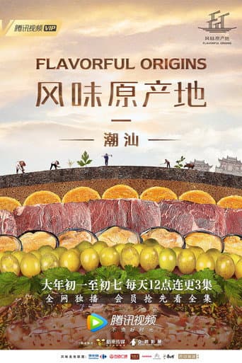 Flavorful Origins Season 1 poster