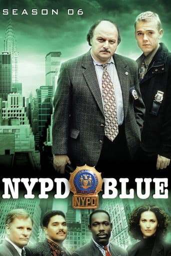 NYPD Blue Season 6 poster