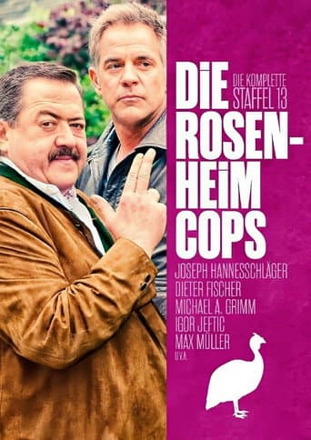 Die Rosenheim-Cops Season 13 poster
