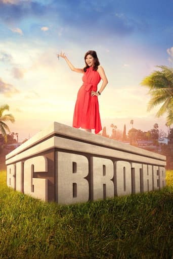 Big Brother Season 23 poster