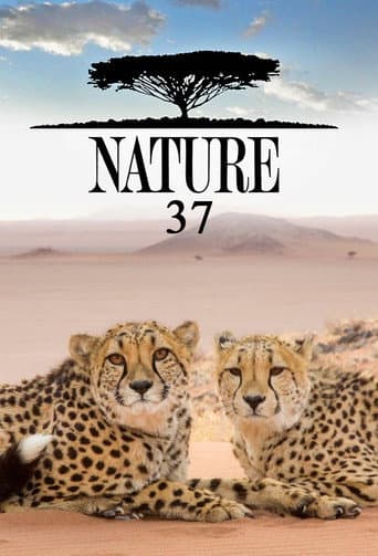 Nature Season 37 poster