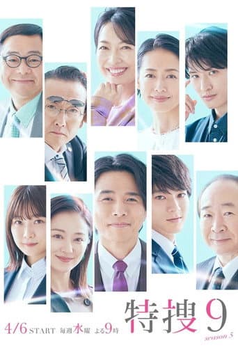 Special Investigation Nine Season 5 poster
