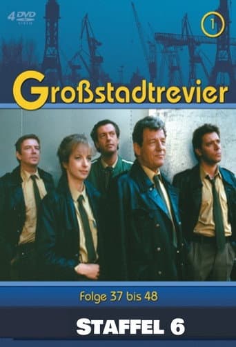 Großstadtrevier Season 6 poster