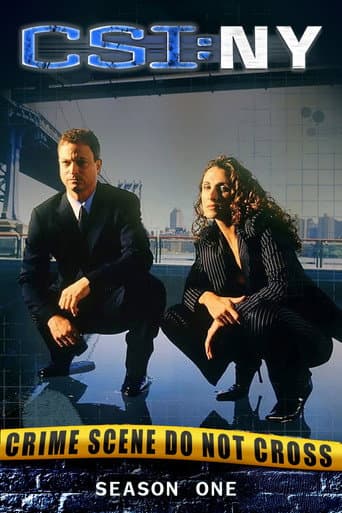 CSI: NY Season 1 poster