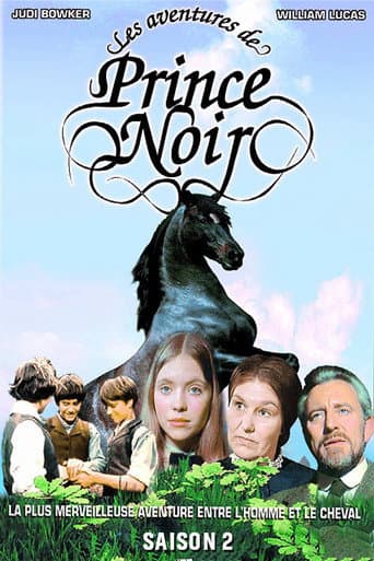 The Adventures of Black Beauty Season 2 poster