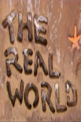 The Real World Season 14 poster