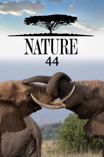 Nature Season 44 poster