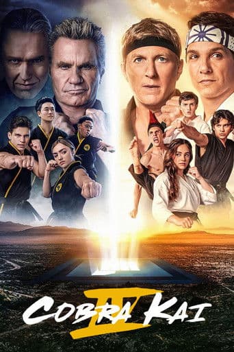 Cobra Kai Season 4 poster