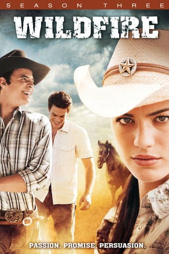 Wildfire Season 3 poster