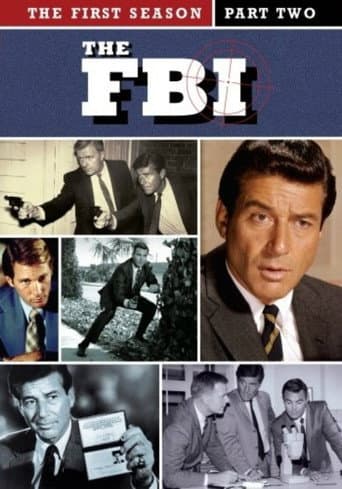 The F.B.I. Season 1 poster