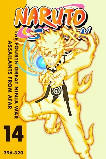 Naruto Shippūden Season 14 poster