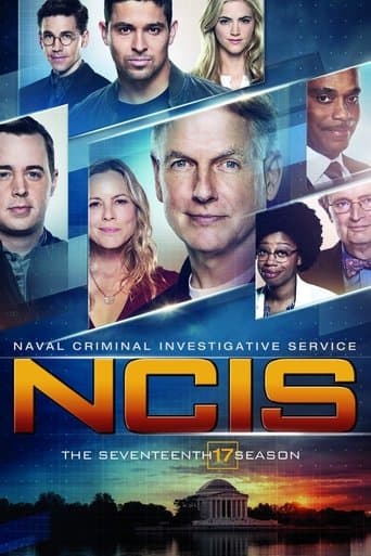 NCIS Season 17 poster