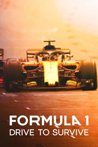 Formula 1: Drive to Survive Season 2 poster